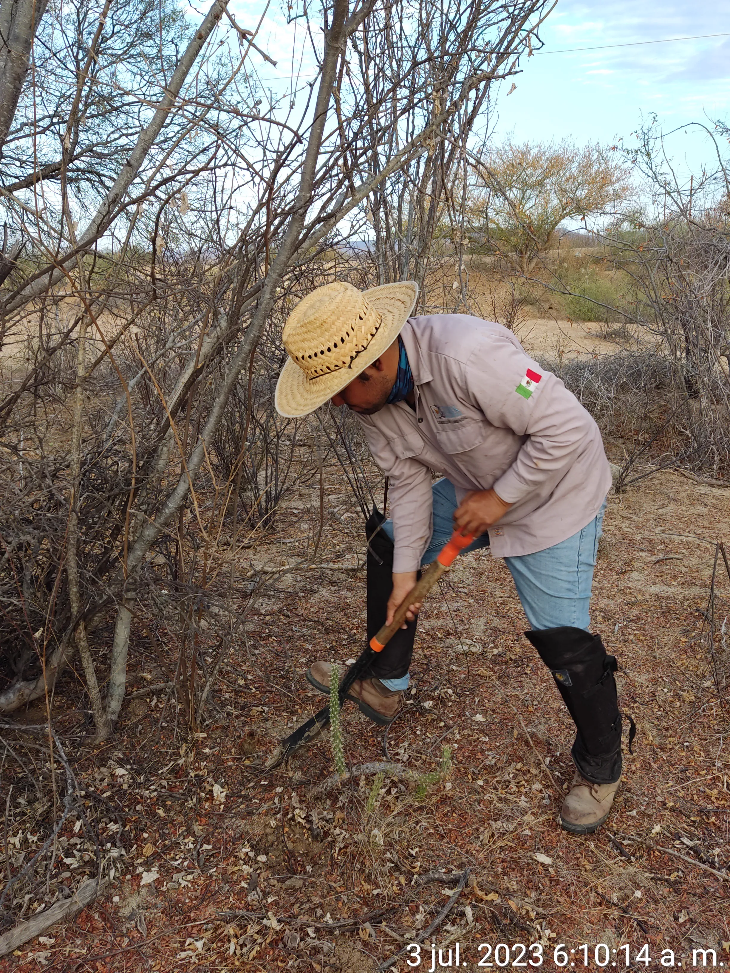 Rescate de flora en campo
